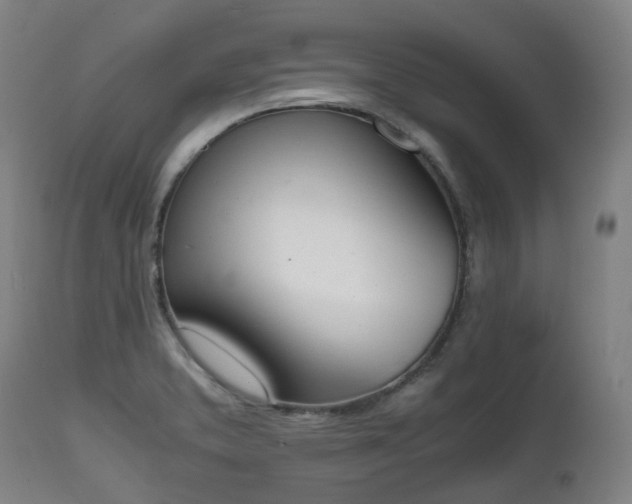 X0000111451373200907201038