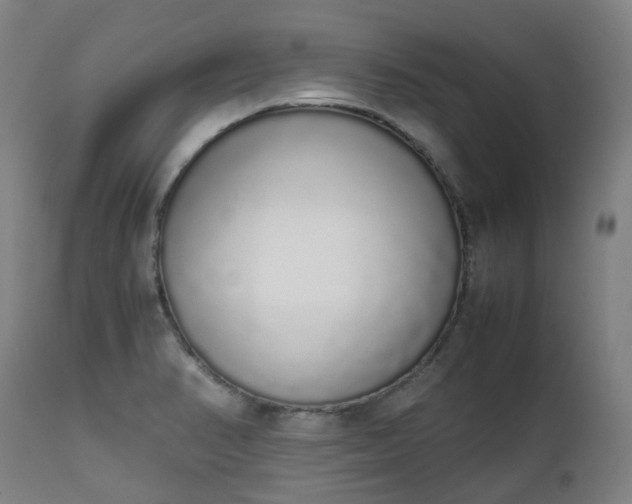 X0000111451374200907201038