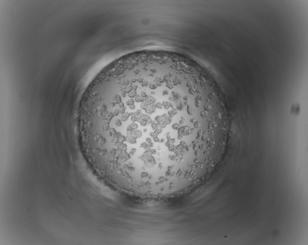 X0000111451375200907201038