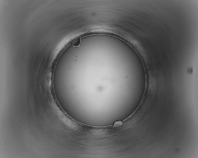 X0000111451376200907201038
