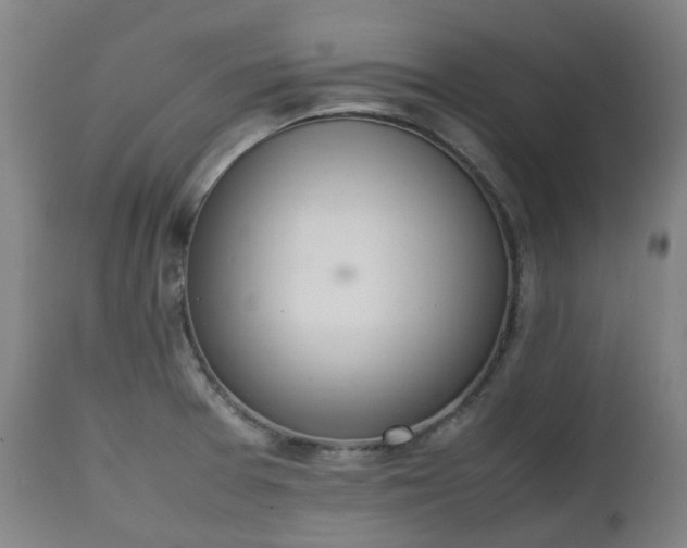 X0000111451377200907201038