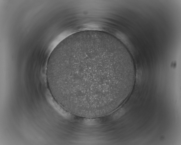 X0000111451378200907201038