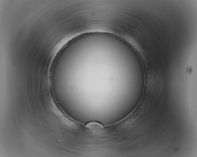 X0000111451380200907201038