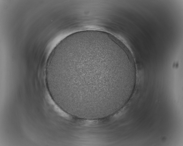 X0000111451381200907201038