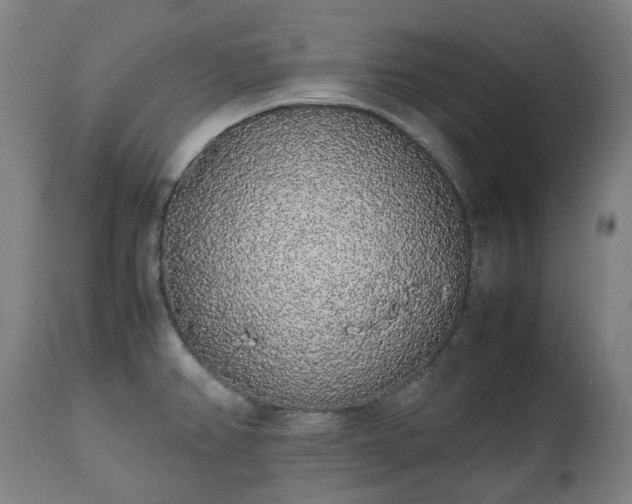 X0000111451382200907201038