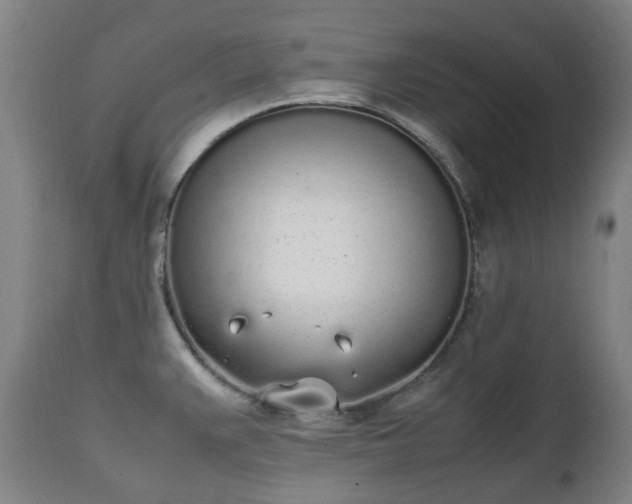 X0000111451383200907201038