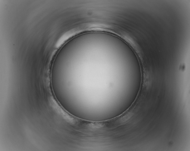 X0000111451384200907201038