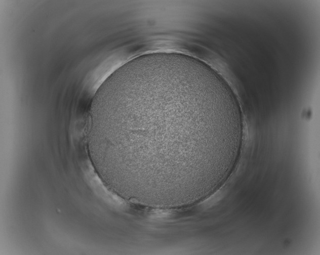 X0000111451385200907201038