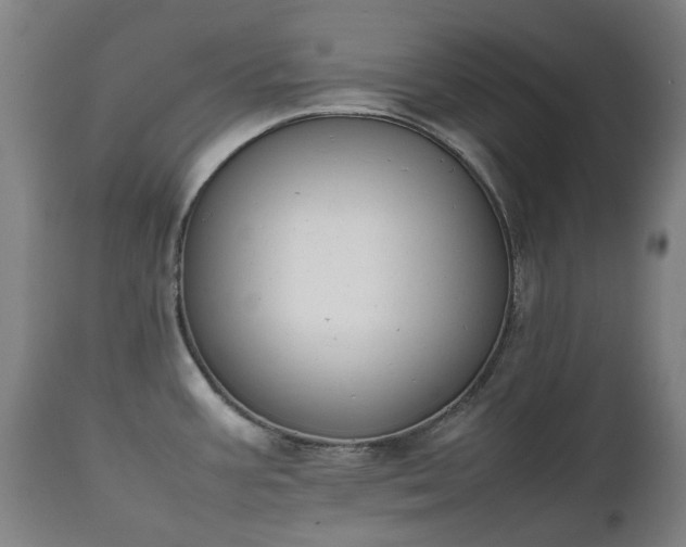 X0000111451387200907201038
