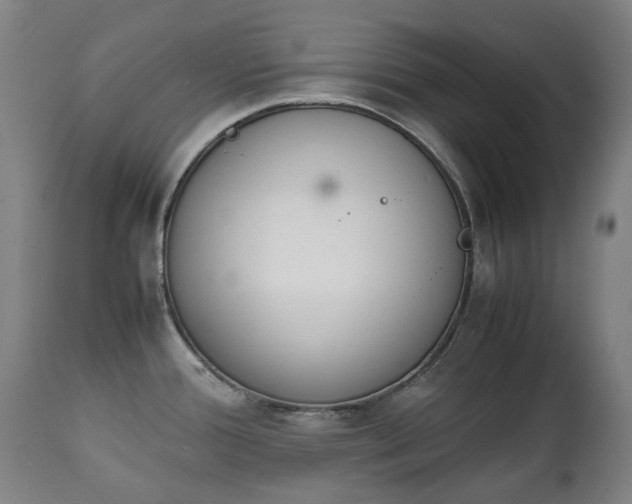 X0000111451388200907201038