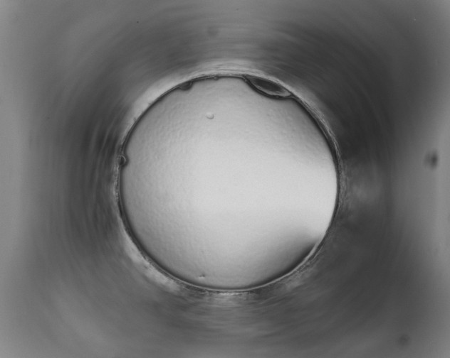 X0000111451390200907201038