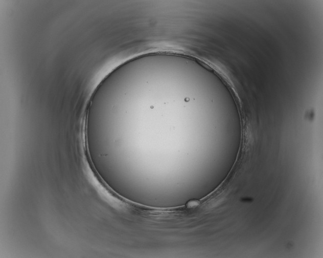 X0000111451391200907201038