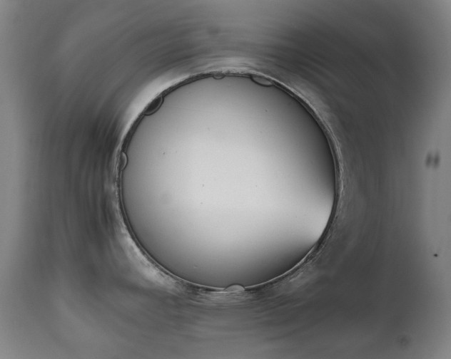 X0000111451392200907201038