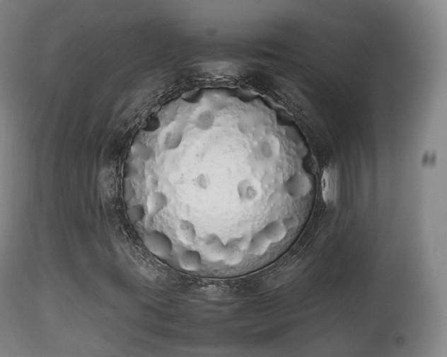 X0000111451395200907201037