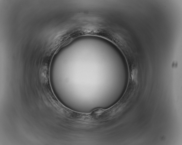 X0000111451396200907201037
