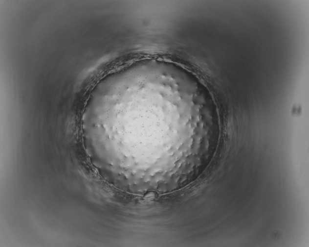 X0000111451398200907201037