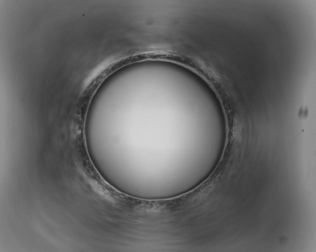 X0000111451400200907201037