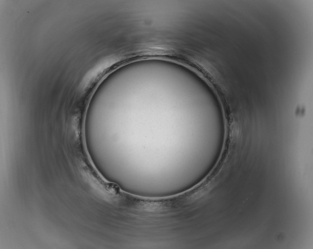 X0000111451402200907201037