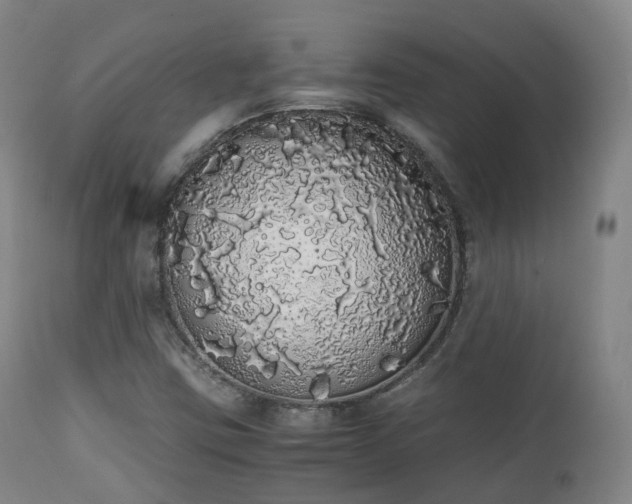 X0000111451403200907201037