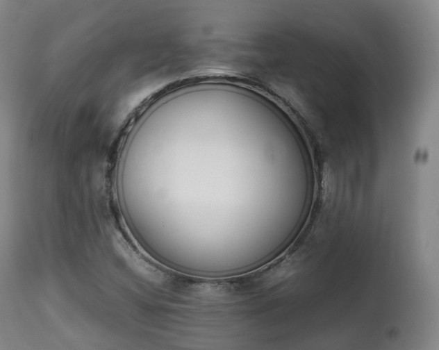X0000111451404200907201037