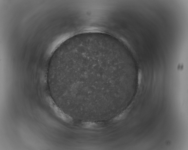 X0000111451405200907201037