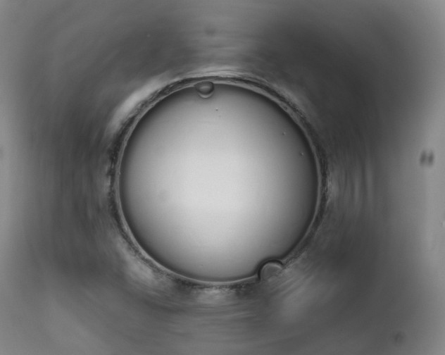 X0000111451406200907201037