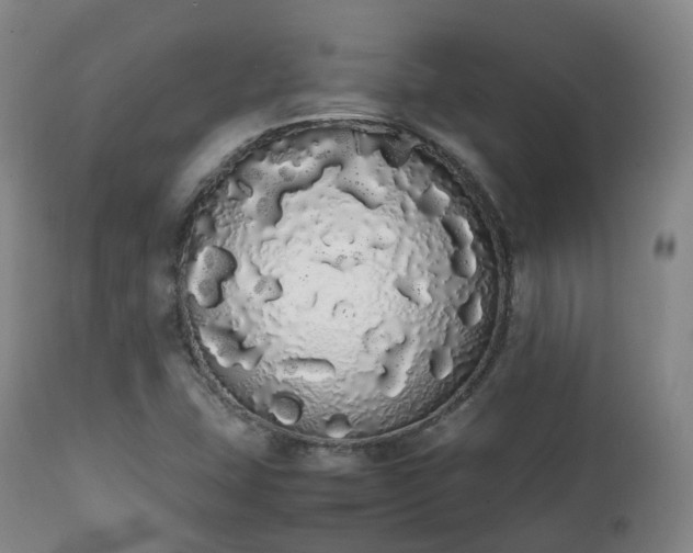 X0000111451407200907201037