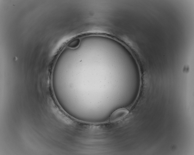 X0000111451408200907201037