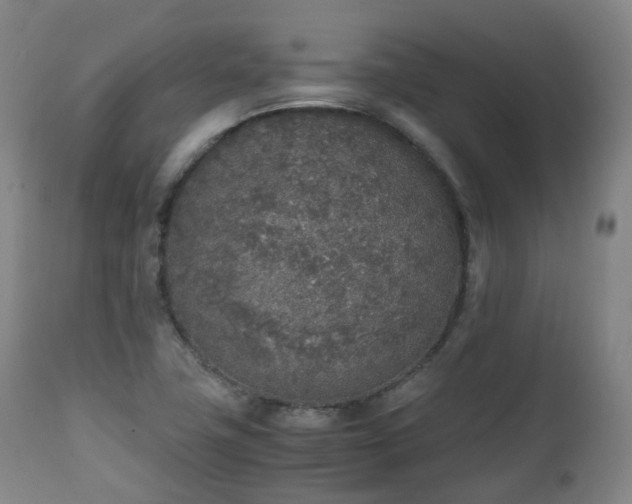 X0000111451411200907201038