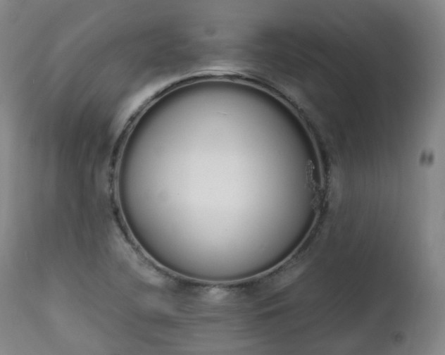 X0000111451412200907201038