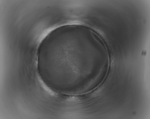 X0000111451414200907201038