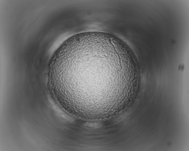 X0000111451415200907201038