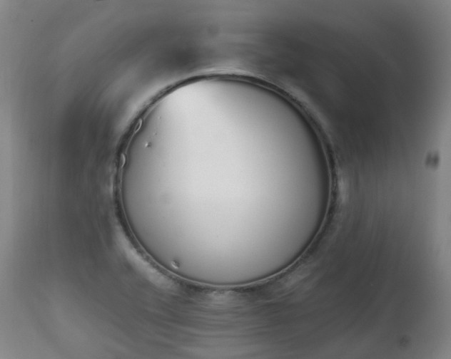 X0000111451416200907201038