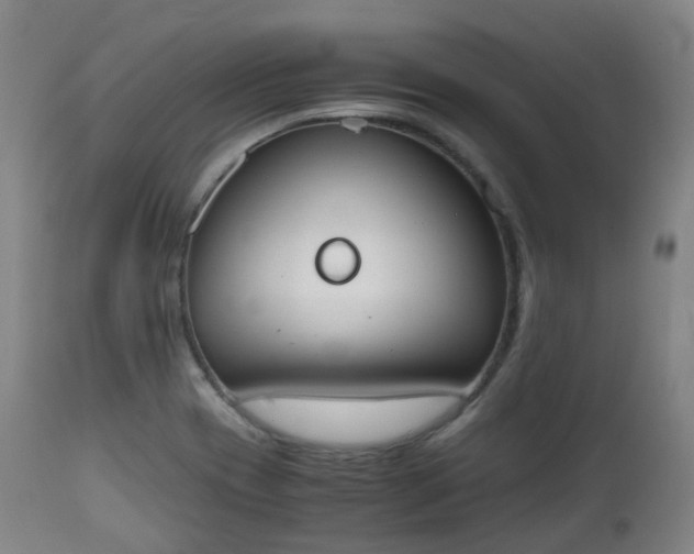 X0000111451417200907201038