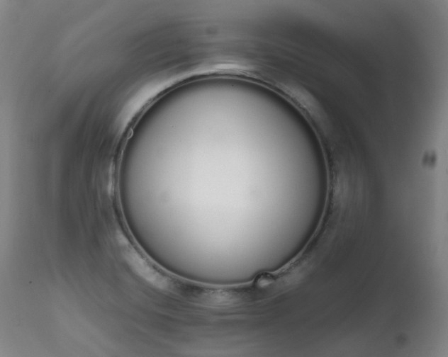 X0000111451420200907201038