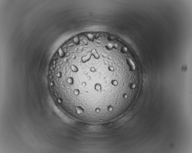 X0000111451421200907201038