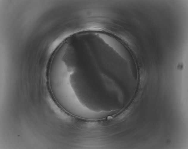 X0000111451422200907201038