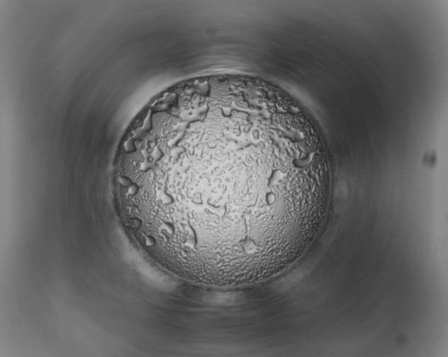 X0000111451423200907201038