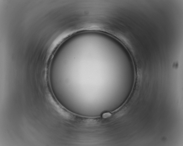 X0000111451424200907201038