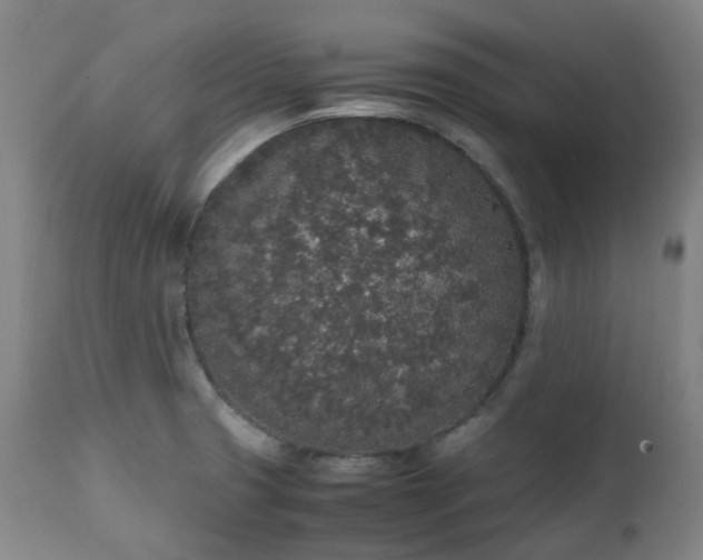 X0000111451425200907201038