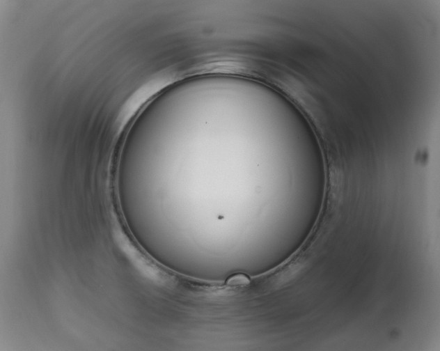 X0000111451426200907201038