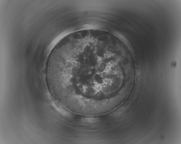 X0000111451427200907201038