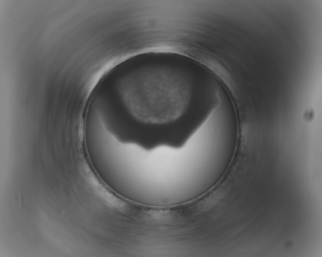 X0000111451428200907201038