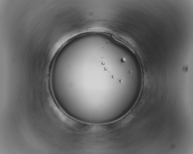 X0000111451430200907201038