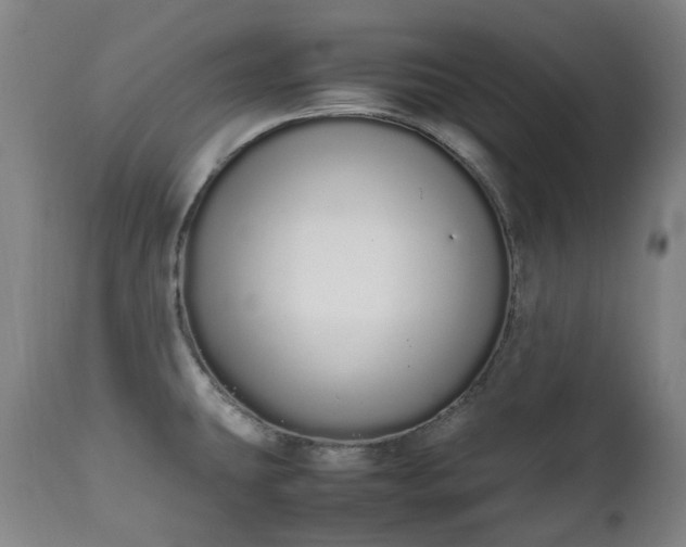 X0000111451431200907201038