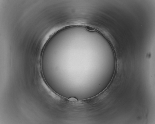 X0000111451432200907201038