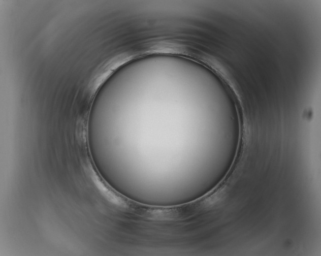 X0000111451433200907201038