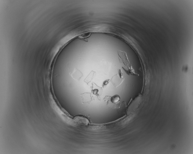 X0000111451434200907201038