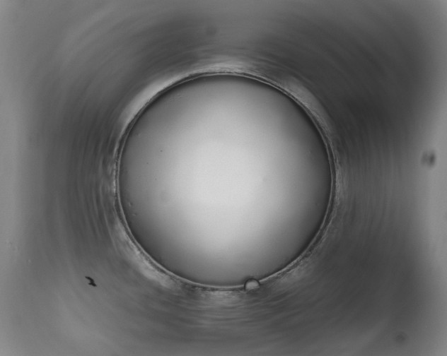 X0000111451436200907201038