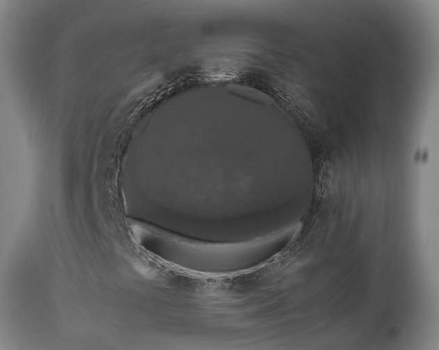 X0000111451441200907201037